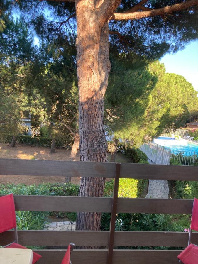 Residence Piscine Proche Village Naturiste - Pinede Agde Exteriör bild